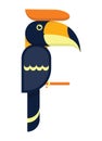 Vector of toucan Hornbill bird flat design