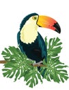 Vector Toucan sitting on tree branch