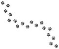 Vector trail of dog footprints Royalty Free Stock Photo