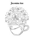 Vector transparency cup of Jasmine herbal tea isolated on white background. Outline flowers, bud and leaves in black and white. Royalty Free Stock Photo