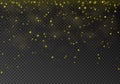 Vector transparent falling star isolated on dark background. Gold glitter particles effect for luxu Royalty Free Stock Photo