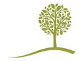 Vector tree emblem 4 Royalty Free Stock Photo