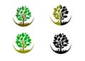 Vector tree emblem 3 isolated on white background. Royalty Free Stock Photo