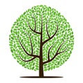 Vector tree with green leaves