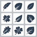 Vector tree leaves icons set Royalty Free Stock Photo