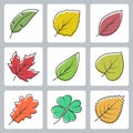 Tree leaves icons set