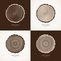 Vector tree rings conceptual background