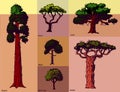 Vector tree sketch hand drawn style types green forest pine treetops collection of birch, cedar and acacia or greenery