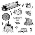 Vector tree stump forest set Royalty Free Stock Photo