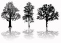 Vector trees