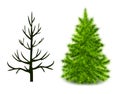 Vector trees trunk and branched green Christmas Royalty Free Stock Photo