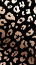 Vector Trendy abstract rose gold leopard vertical background. Wild animal cheetah skin metallic bronze texture on black Royalty Free Stock Photo