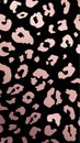 Vector Trendy abstract rose gold leopard vertical background. Wild animal cheetah skin metallic pink texture on black background Royalty Free Stock Photo