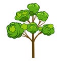 Vector trendy Cartoon tree for Park, Forest and others landscape scene. Cartoon tree vector props illustration decor and animation