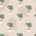 Vector trendy illustration seamless pattern of home plant in a pot. Money bonsai or pachira aquatica. Wooden trunk and large green