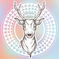 Vector trendy illustration with sketch style deer and ethnic round pattern around. Tribal artwork. Tattoo, astrology, alchemy.