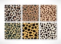 Vector Trendy leopard skin seamless pattern set. Hand drawn wild animal cheetah spots abstract repeat texture for Royalty Free Stock Photo