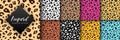 Vector Trendy leopard skin seamless pattern set. Hand drawn wild animal cheetah spots abstract texture for fashion print Royalty Free Stock Photo