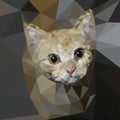 Vector triangulated kitten Royalty Free Stock Photo