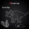 Vector Triceratops with plant and stone on chalk blackboardcreatures of the Jurassic period.White dinosaurs Silhouette Royalty Free Stock Photo