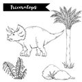 Vector Triceratops with plant and stone isolated on a white Royalty Free Stock Photo