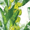 Vector tropical banana leaf, fruits texture