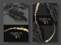 Tropic banana leaf black and gold banners Royalty Free Stock Photo