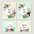 Vector tropical cards set Royalty Free Stock Photo