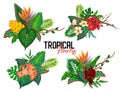 Vector tropical collection with exotic flowers, leaves and plants.