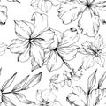 Vector Tropical flowers and leaves isolated. Black and white engraved ink art. Seamless background pattern. Royalty Free Stock Photo