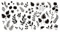 Vector tropical flowers leaves and twigs silhouettes. Jungle foliage and florals black illustration. Hand drawn flat exotic plants Royalty Free Stock Photo