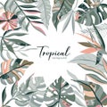 Vector tropical frame with palm leaves, exotic plants and hand drawn abstract texture. Royalty Free Stock Photo