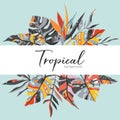 Vector tropical frame with palm leaves, exotic plants and hand drawn abstract texture. Royalty Free Stock Photo