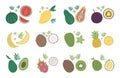 Vector tropical fruit and berries clip art. Jungle foliage illustration. Hand drawn flat exotic plants isolated on white Royalty Free Stock Photo