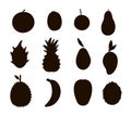 Vector tropical fruit and berries silhouettes. Jungle foliage black illustration. Hand drawn flat exotic plants isolated on white Royalty Free Stock Photo