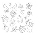 Vector tropical fruit, flowers and leaves outlines. Jungle foliage and florals black and white illustration. Hand drawn flat Royalty Free Stock Photo