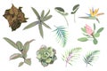 Vector tropical green, blue, pink, violet plants, jungle leaves and flowers set Royalty Free Stock Photo