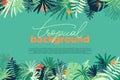 Vector tropical horizontal banner with copy space. Floral background with various palm leaves. Jungle summer backdrop. Royalty Free Stock Photo