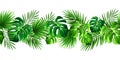 Horizontal seamless border with various tropical leaves. Vector illustration. Royalty Free Stock Photo