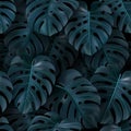 Vector tropical illustration with green leaves monstera on dark background. Realistic seamless pattern for textile Royalty Free Stock Photo