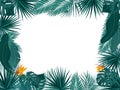 Vector tropical jungle frame with palm trees and leaves on white background Royalty Free Stock Photo