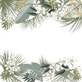 Vector tropical jungle frame with palm trees and leaves on white background
