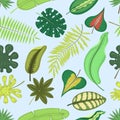 Vector tropical leaves green exotic jungle palm leaf tropic