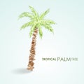 Vector tropical palm tree. Grunge vector