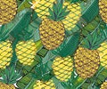 Vector tropical pattern. Fresh ripe pineapples and palm leaves.