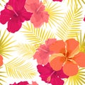 Vector tropical pattern with hibiscus flowers and tropical leaves. Floral background design for cosmetics, spa and textile Royalty Free Stock Photo