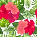 Vector tropical pattern with hibiscus flowers and tropical leaves. Floral background design for cosmetics, spa and textile