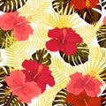 Vector tropical pattern with hibiscus flowers and tropical leaves. Floral background design for cosmetics, spa and textile Royalty Free Stock Photo