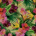 Vector tropical pattern with orchids.