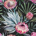 Vector tropical protea pattern